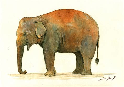 Asian Elephant Painting by Juan Bosco - Fine Art America