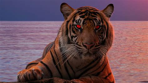 5K free download | Tiger Glowing Red Eyes, tiger, animals, hop, HD wallpaper | Peakpx