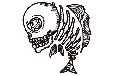 Fish Skeleton Drawing