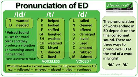 ED Pronunciation in English | Woodward English