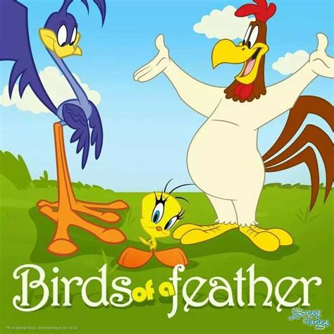 Birds of a feather... | Looney tunes, El show de los looney tunes, Memes