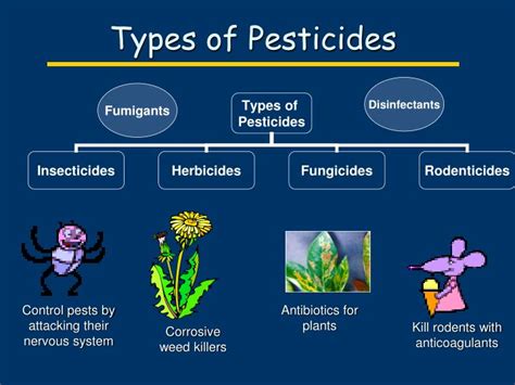 PPT - Name That Pesticide PowerPoint Presentation - ID:84252