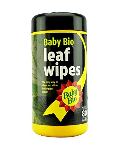 Baby Bio Leaf Wipes - Fertilizer - | Plantshop.me