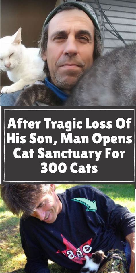 After Tragic Loss Of His Son, Man Opens Cat Sanctuary For 300 Cats