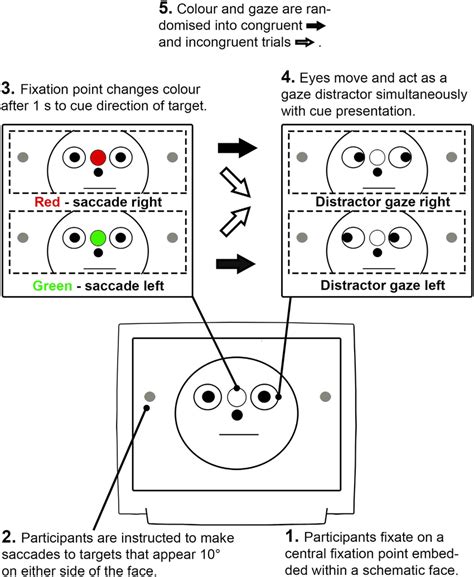 Schematic of the social attention saccadic eye movement paradigm.... | Download Scientific Diagram