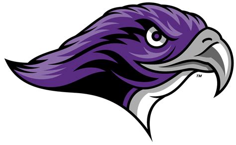 Stonehill Skyhawks Logo - Secondary Logo - NCAA Division I (s-t) (NCAA ...