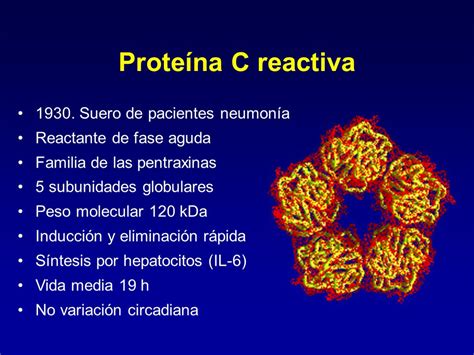 Que significa proteína C reactiva positiva - Noticias Médicas