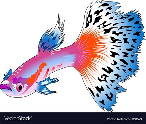 Guppy Royalty Free Vector Image - VectorStock