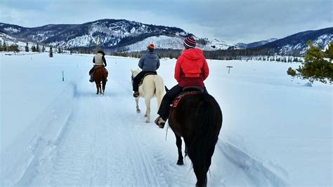 Horseback riding on packed powder trails is fun during the winter months | Winter vacation ...