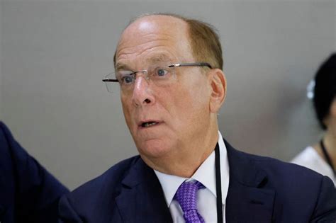 BlackRock’s Larry Fink retires use of ‘weaponised’ ESG term after political backlash