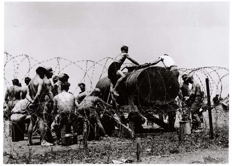 [In a POW camp in the desert, German soldiers captured by American ...