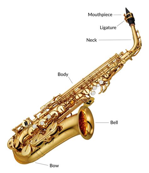 Saxophone Parts