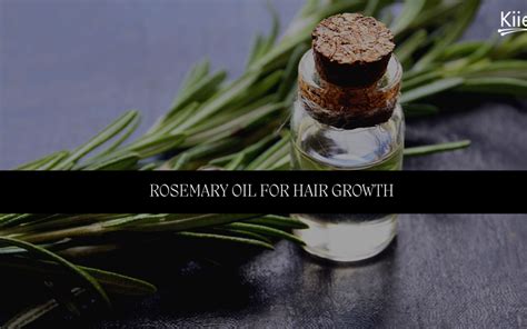 Benefits of Rosemary Oil for Hair Growth - Kiierr Laser Hair Caps - Hair Growth Experts