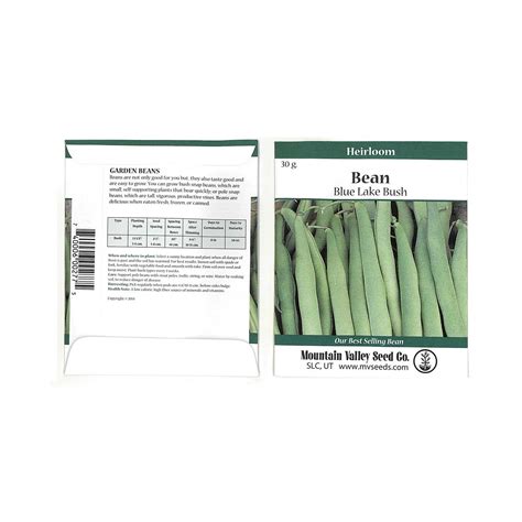 Blue Lake Bush Bean 274 Seeds - 30 Gram Packet - Non-GMO, Heirloom, Open Pollinated - Vegetable ...