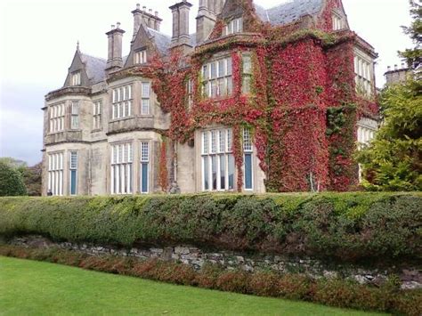 Kitchen - Picture of Muckross House, Gardens & Traditional Farms, Killarney - TripAdvisor