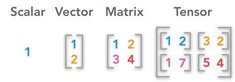 Introduction to Scalars Vectors Matrices and Tensors using Python/Numpy examples and drawings