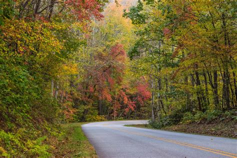 Asheville 2018 Fall Color Report & Forecast | Scenic Views | Asheville ...