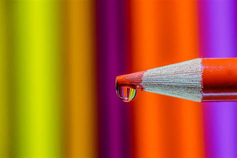 macro photography, color, Colors, 4K, colored pencil, showing, color pencil, multi Colored ...