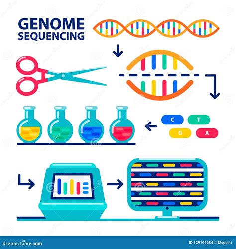 Genome Sequencing Concept. Nanotechnology And Biochemistry Laboratory ...