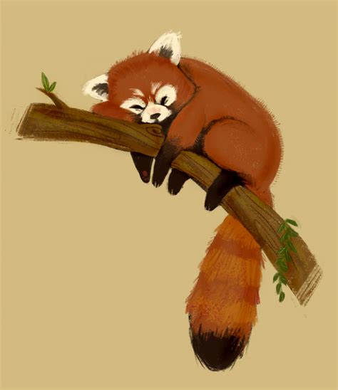 Red Panda by Gabriela Zapata : r/AdorableArt