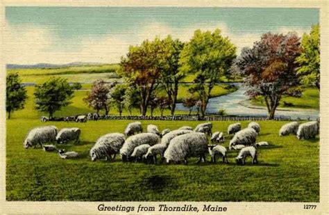 History of Thorndike, Maine, USA - Postcards, Stories, Ancestry, News, Family History, Photos ...