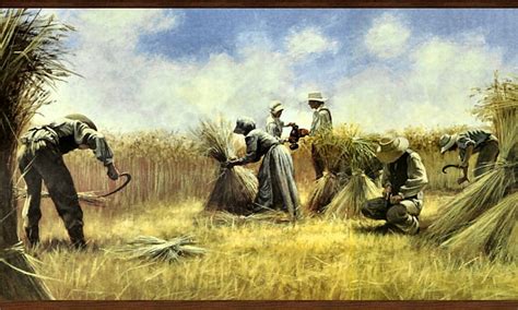 Wheat Harvest 2, art, harvest, wheat, painting, wide screen, scenery ...