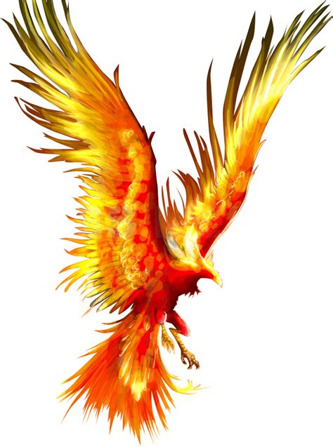 Tattoo Fireworks Mythology Firebird Phoenix Download - Phoenix Bird ...