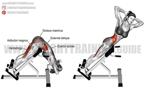 Twisting hyperextension exercise guide and video | Weight Training Guide