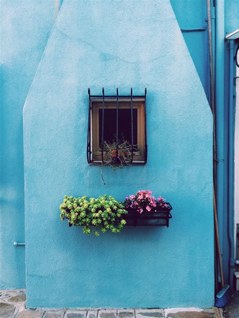 Free Images : plant, house, flower, window, wall, green, color, facade, blue, door, interior ...