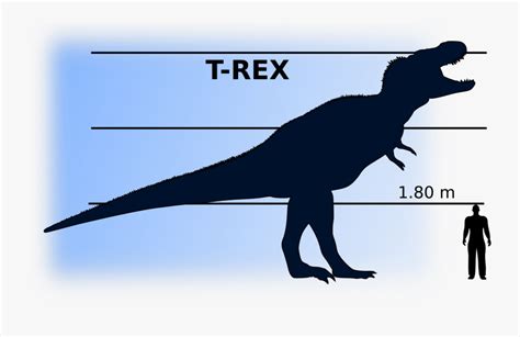 Dinosaur Vs Man , Free Transparent Clipart - ClipartKey