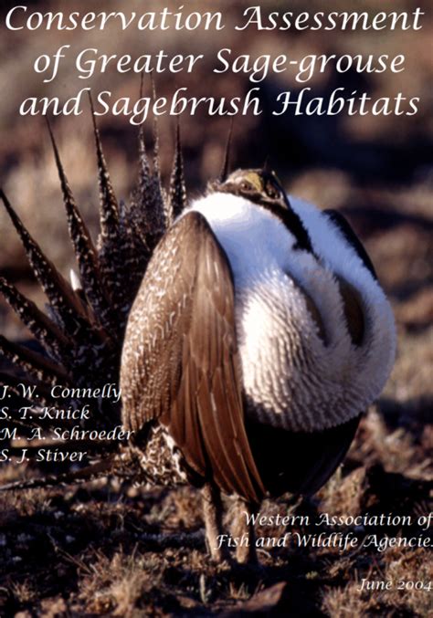 Conservation Assessment of Greater Sage-grouse and Sagebrush Habitats ...