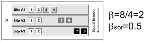 What is Beta Diversity? – Methods Blog