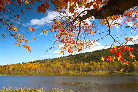 Colorful Foliage Predicted for 2023 Fall Season in New England