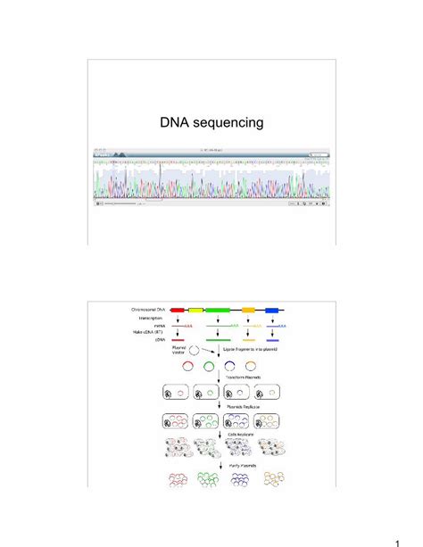 (PDF) DNA sequencing - Caldwell-West Caldwell Public … 1980 Nobel Prize ...