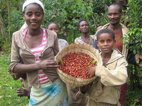 Meet Alonso and his family!!! His Ethiopian beans help to create our Al ...