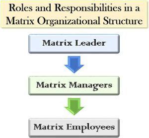 What is Matrix Organizational Structure? Definition, Roles, Features ...