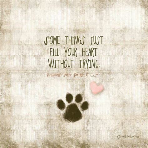 paw print ♡ heart ♡ quote | Dog quotes, Animal quotes, Puppy love