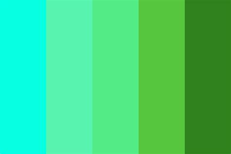 Turquoise to Deep Green Color Palette
