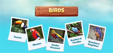 Bird Sort Puzzle on Behance