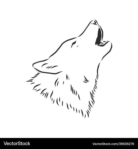 Wolf head howls head sketch Royalty Free Vector Image