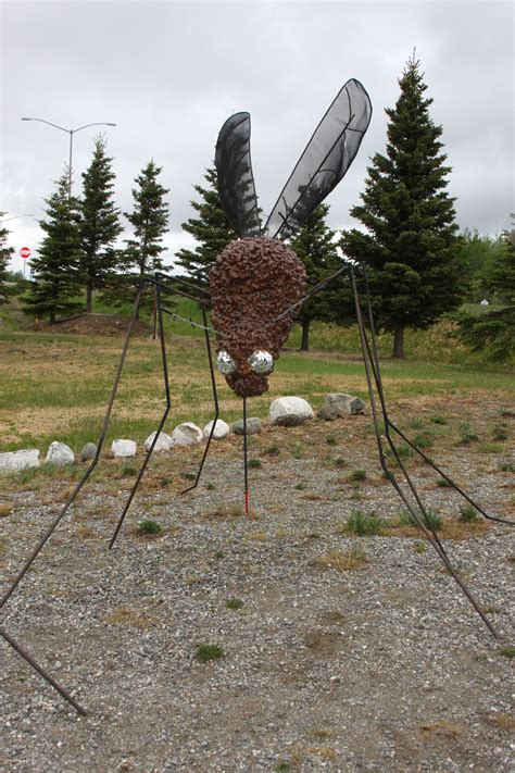 A close-up picture of one of the two giant mosquito statues in Delta ...