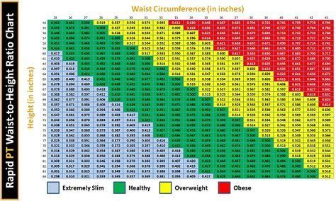 Waist to Height Calculator: Your Health at a Glance