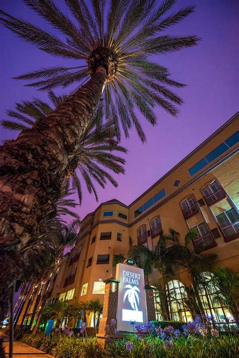 Desert Palms Hotel & Suites Review - Disney Tourist Blog