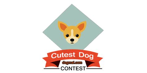 Submit your dog photo for Cutest Dog Contest 2018.