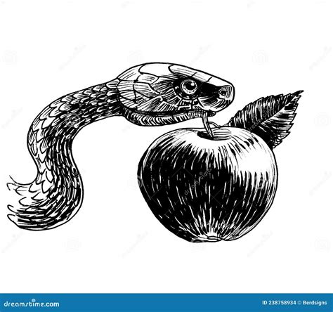 Snake with apple stock illustration. Illustration of bible - 238758934