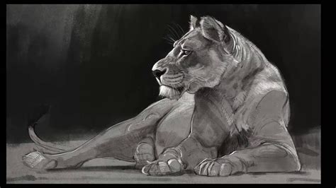 Speed Paint - Lioness Drawing - YouTube