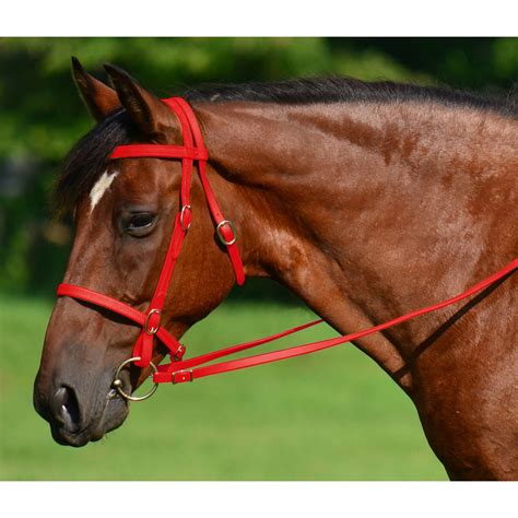 Red English Convert-A-Bridle | Two Horse Tack