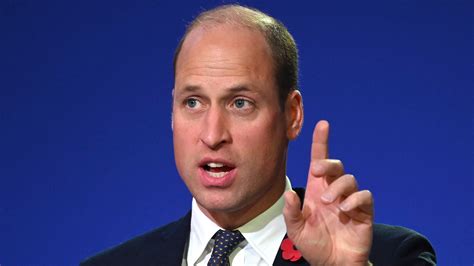 Prince William praised television writers for inserting climate change propaganda into their ...