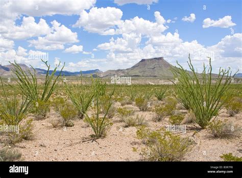 west Texas desert scenery Stock Photo - Alamy