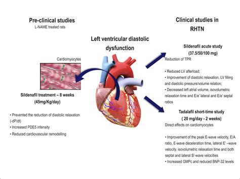 Pin on Physical Medicine